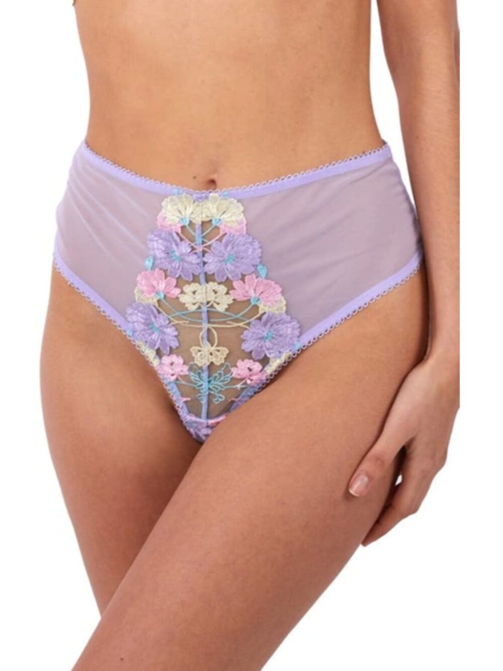 NWT Felicity Hayward x Playful Promises Luna Pastel High Waisted Thong Panties